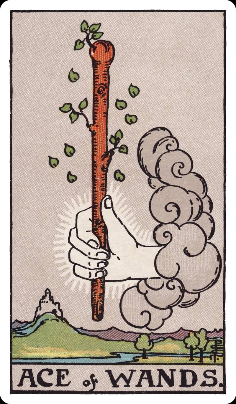 ไพ่ทาโรต์ 1 ไม้เท้า (Ace of Wands)