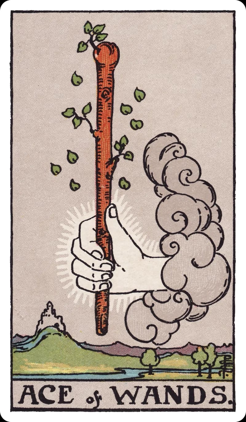 ไพ่ทาโรต์ 1 ไม้เท้า (Ace of Wands) (Ace of Wands)