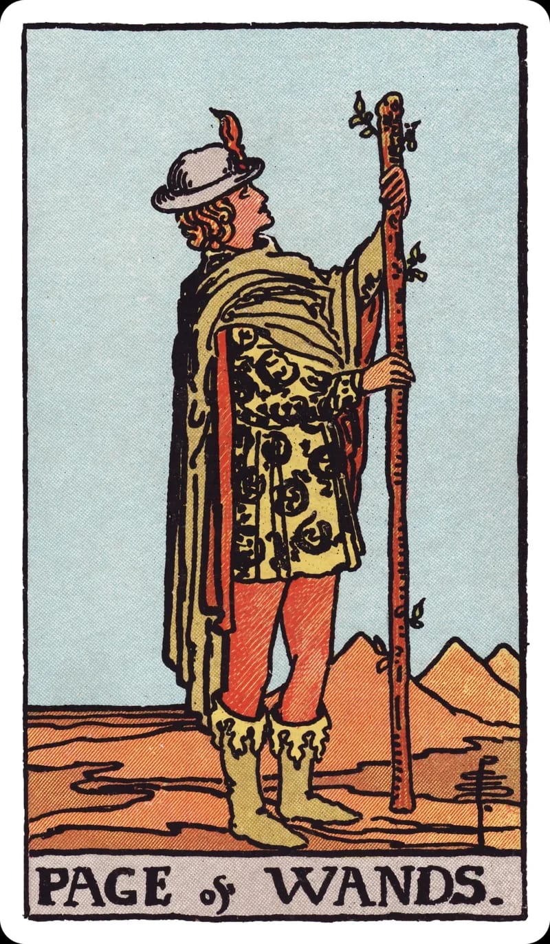 ไพ่ทาโรต์ Page of Wands (เด็กไม้เท้า) (Page of Wands)